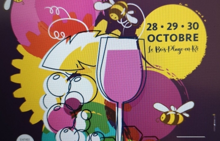10 -ème Salon du Goût et du Vin 2022 du 28 au 30 octobre au Bois Plage